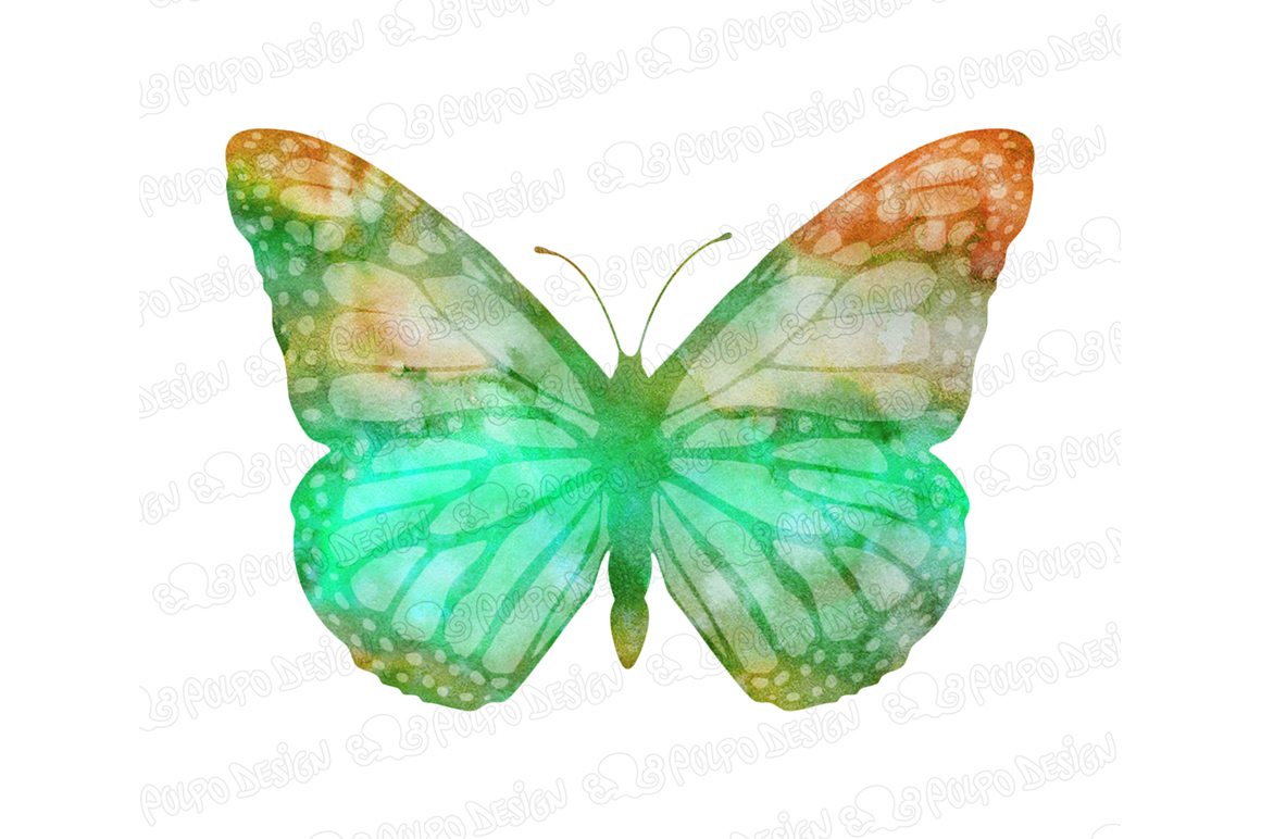 1160x772 Watercolor Butterflies Clip Art By Polpo Design