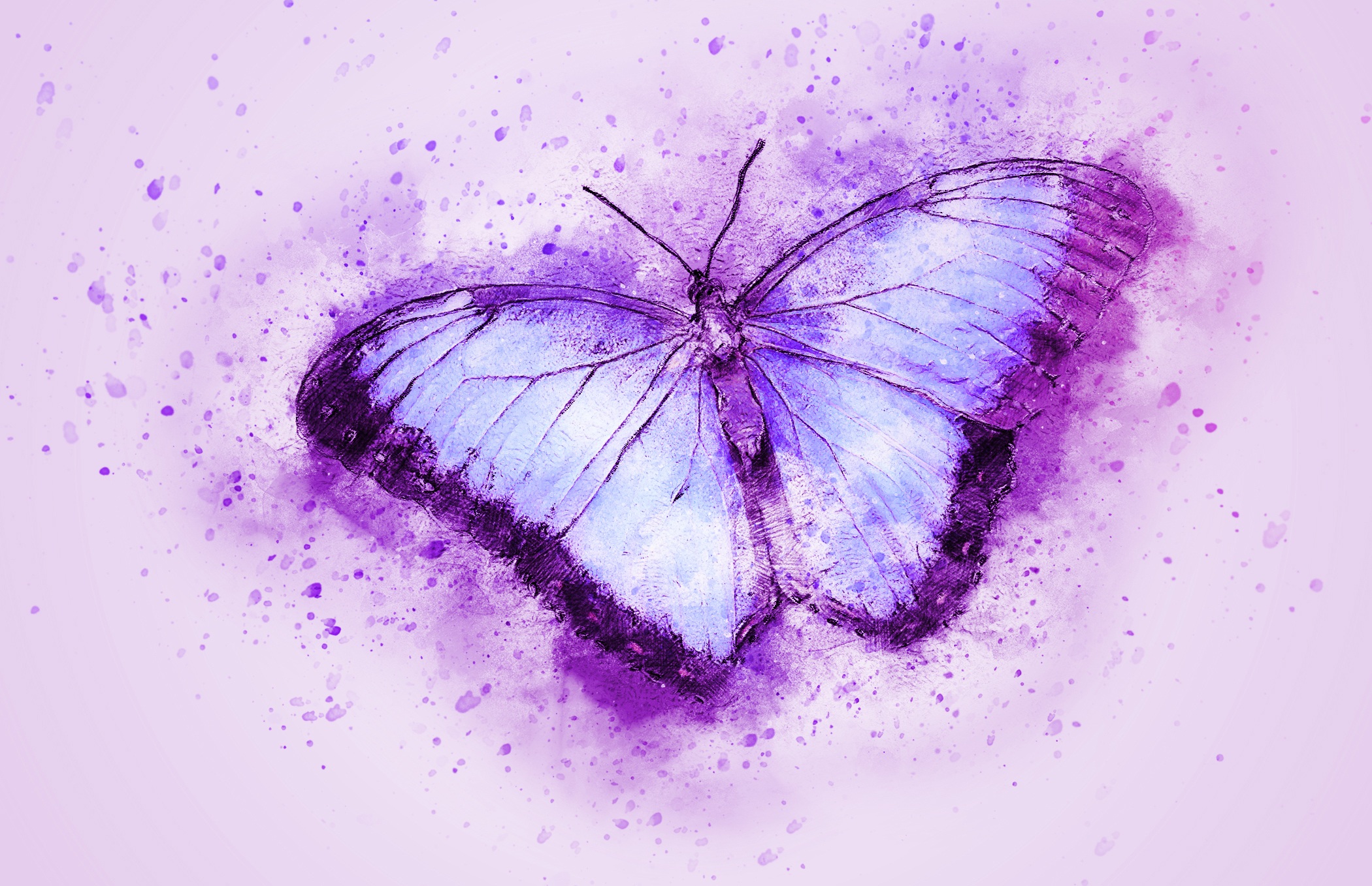 2100x1358 Watercolor Butterfly Art Hd Wallpaper Background Image