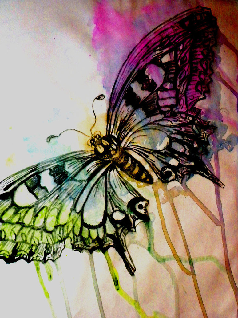 774x1032 Watercolor Butterfly Pictures, Photos, And Images For Facebook