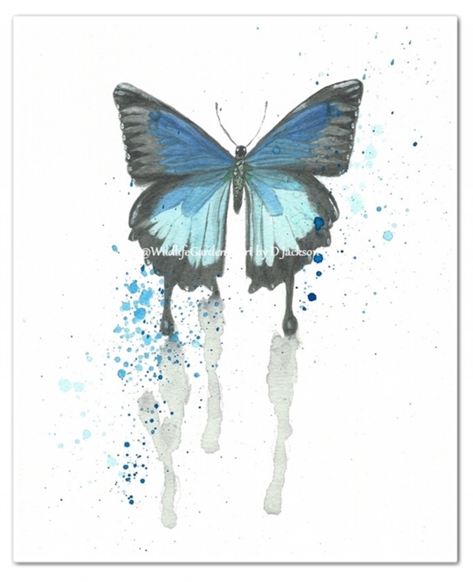1600x1969 Watercolor Butterfly Art Prints, Set Of 4, Pink, Purple, Blue