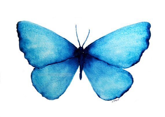 570x407 Blue Butterfly Watercolor Butterfly Painting Butterfly Etsy
