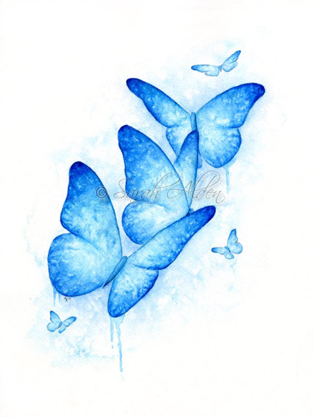 642x856 Blue Butterfly Print Butterflies Print Watercolor Butterfly Etsy