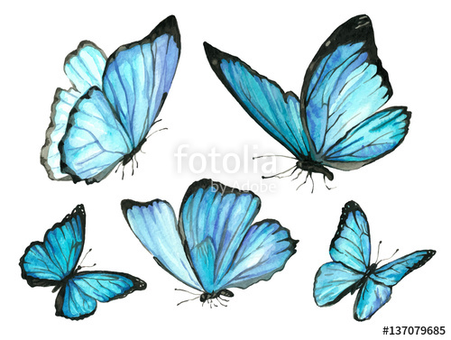 Watercolor Butterfly Images