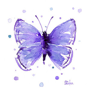 296x300 Butterfly Watercolor Paintings Fine Art America