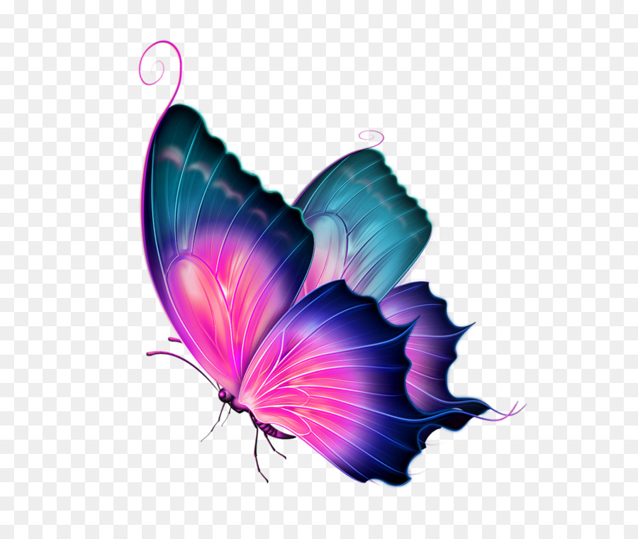 900x760 Download Butterfly Clip Art Watercolor Butterfly