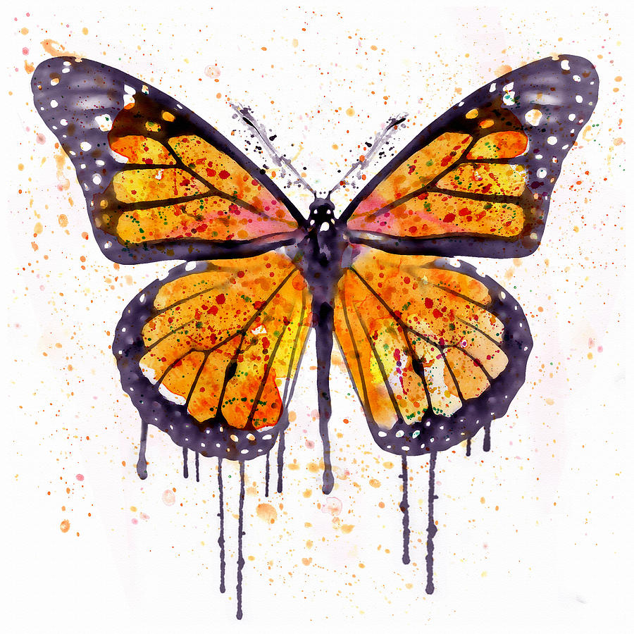 900x900 Monarch Butterfly Watercolor Painting By Marian Voicu