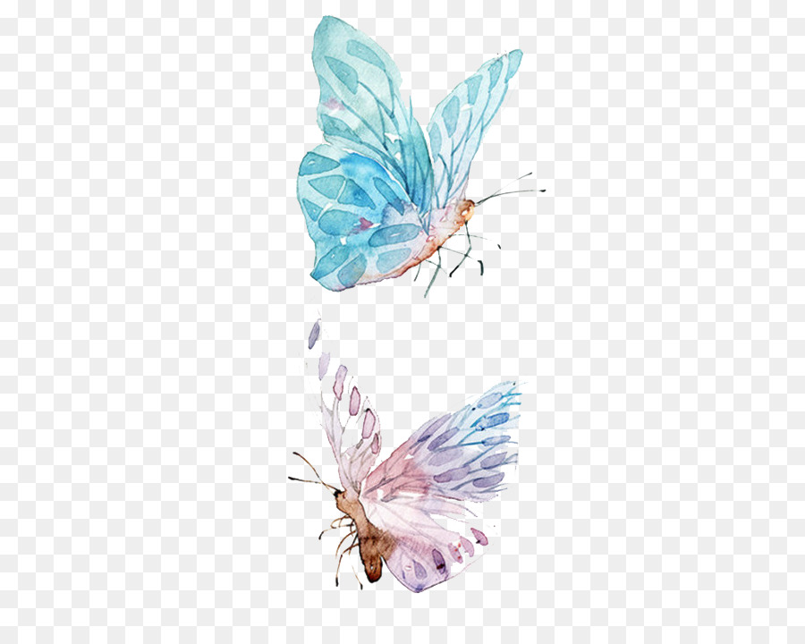 Watercolor Butterfly Png at GetDrawings | Free download