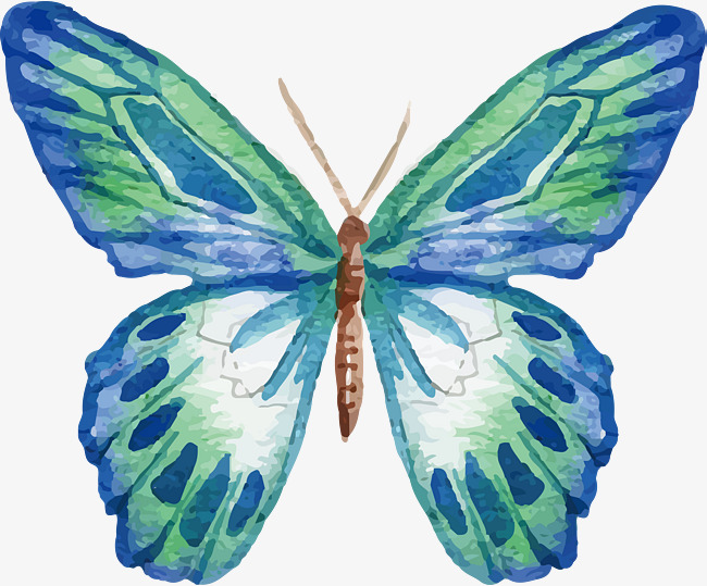 650x539 Pattern Watercolor Butterfly, Butterfly, Pattern, Watercolor Png