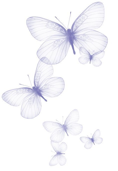 474x685 Pin By Bailey On Butterflies In 2018 Butterfly