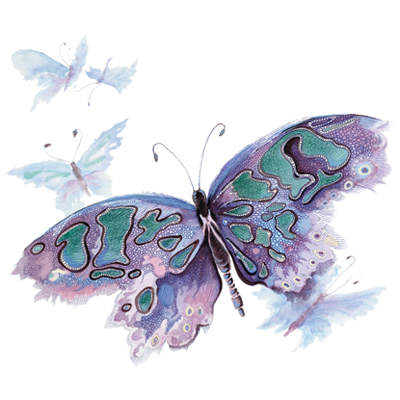 400x400 Watercolor Butterfly