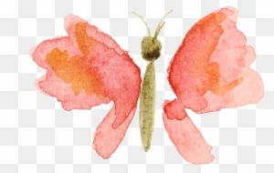 300x190 Watercolor Butterfly Clipart, Transparent Png Clipart Images Free