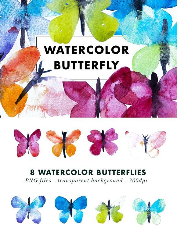 580x771 Watercolor Butterfly Illustrations Butterfly