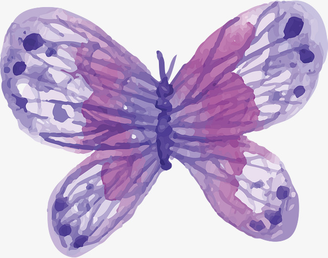 650x510 Watercolor Purple Butterfly, Watercolor Vector, Butterfly Vector