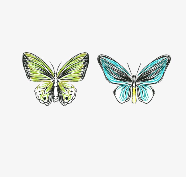 650x618 Watercolor Butterfly Png And Clipart Tcvety Watercolor