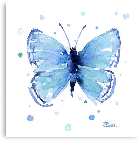 548x550 Blue Butterfly Watercolor Painting Canvas Prints By Olga
