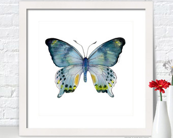 340x270 Butterfly Print Of Watercolor Painting Butterfly Watercolor
