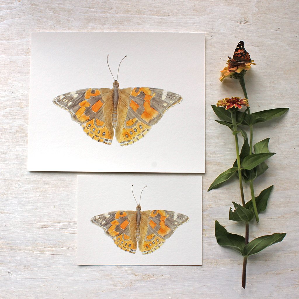 1024x1024 Painted Lady Butterfly Print Trowel And Paintbrush