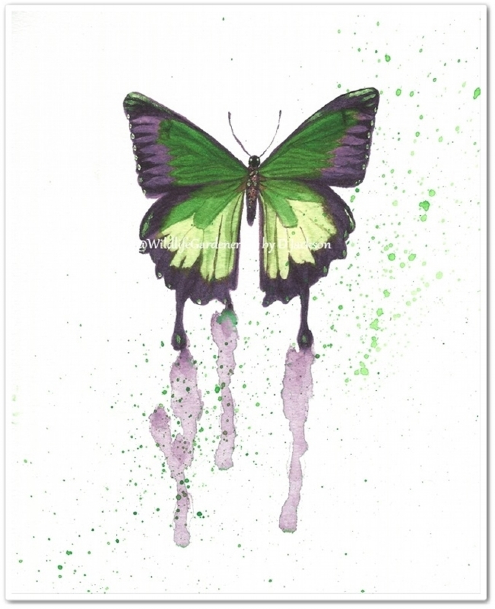 1600x1969 Watercolor Butterfly Art Prints, Set Of 4, Pink, Purple, Blue