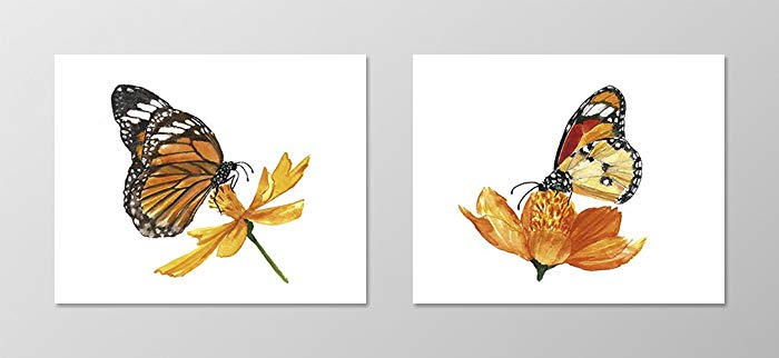 700x322 Watercolor Butterfly