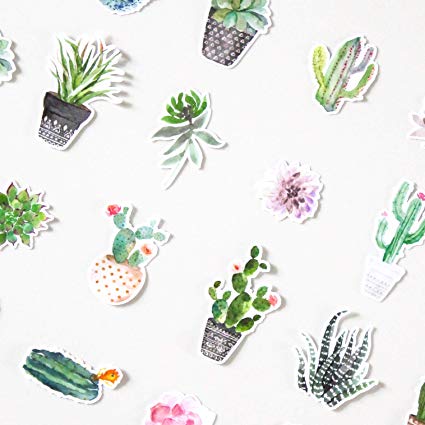 Watercolor Cactus