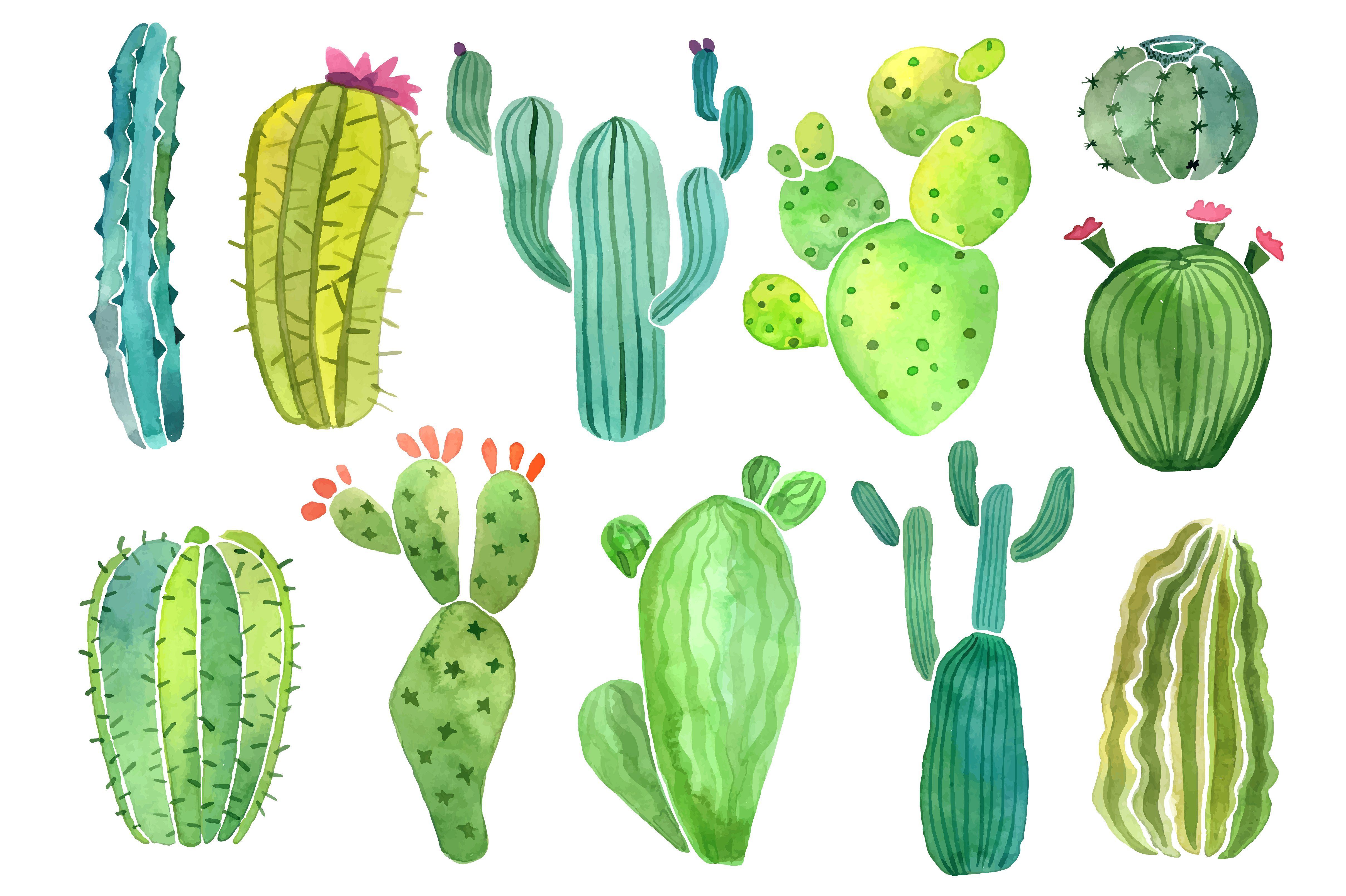 4833x3217 Pin By Rachel Pfoutz On Pregnant In 2018 Cacti