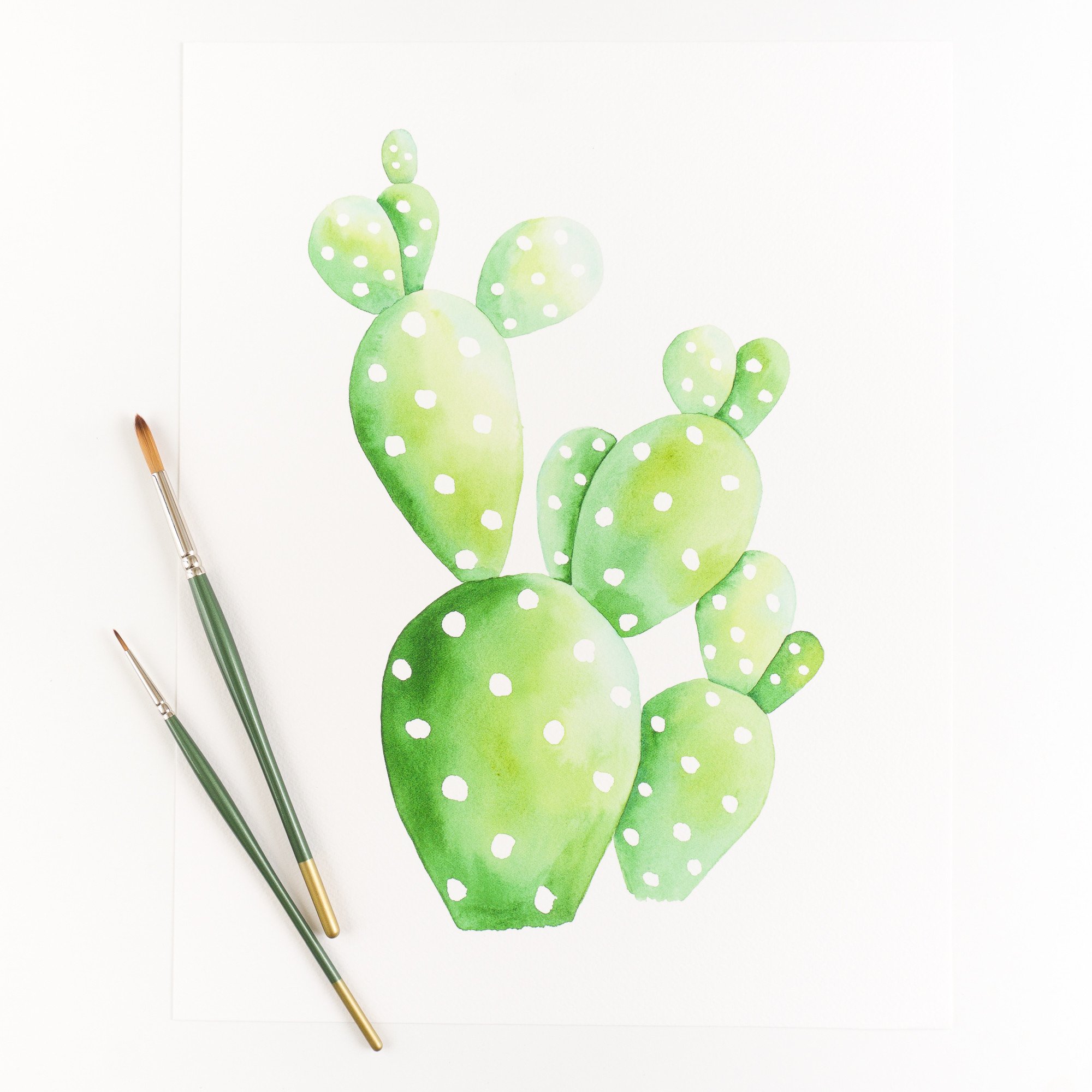 2000x2000 Prickly Pear Cactus