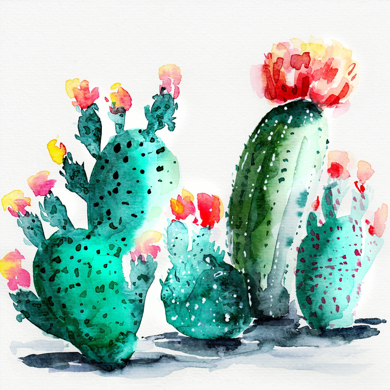 1589x1588 Watercolor Cacti 2