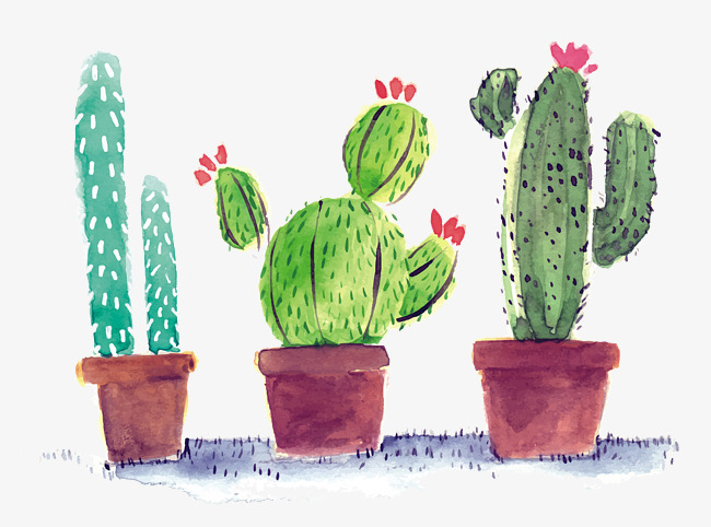 650x482 Watercolor Cactus, Watercolor Clipart, Hand Painted Cactus