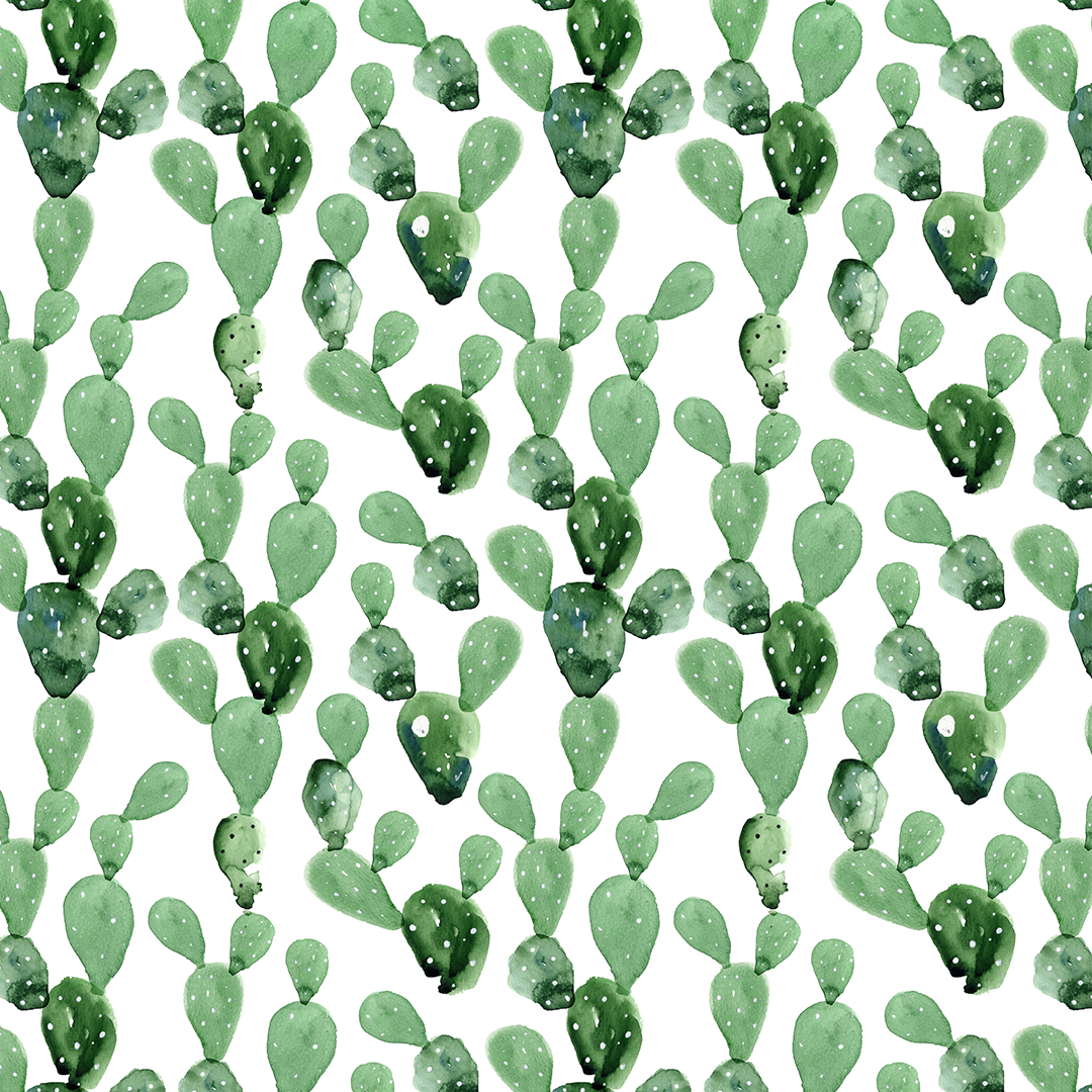 1080x1080 Watercolor Cactus Wallpaper Project Nursery
