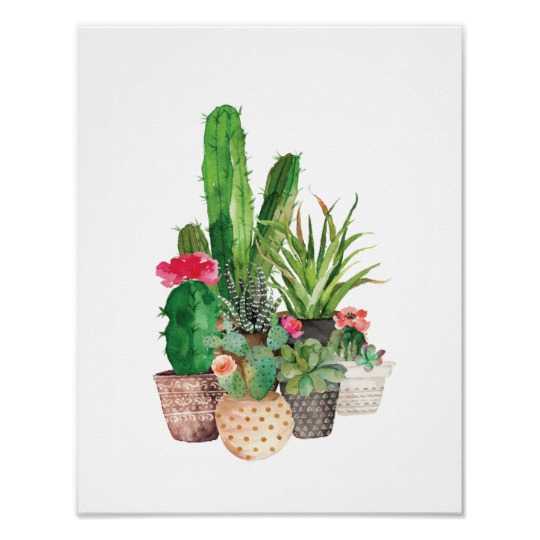 540x540 Watercolor Cactus And Succulents Poster