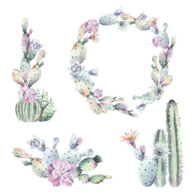 626x626 Watercolor Cactus Frames And Bouquets Vector Free Download