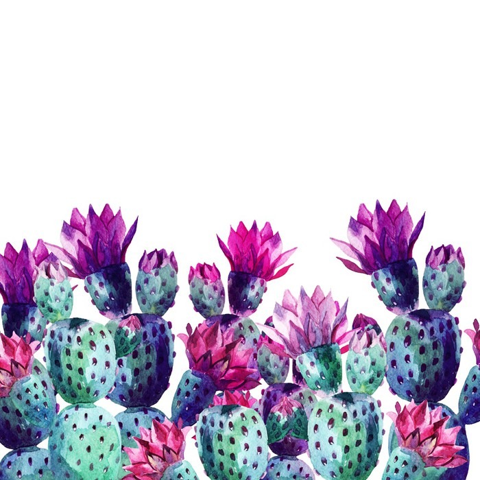 700x700 Watercolor Cactus Poster We Live To Change