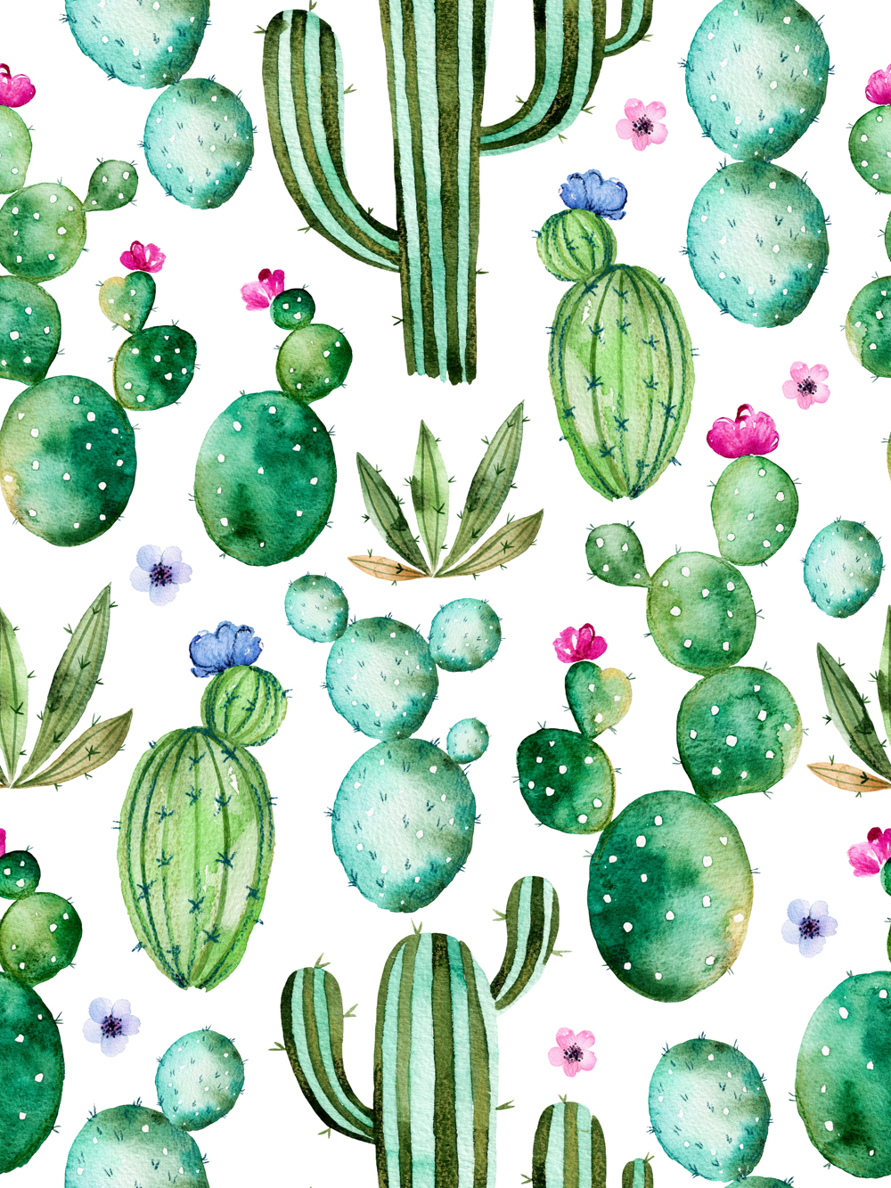1000x1333 Watercolor Cactus Plants Purple Flowers Photography Backdrop Photo