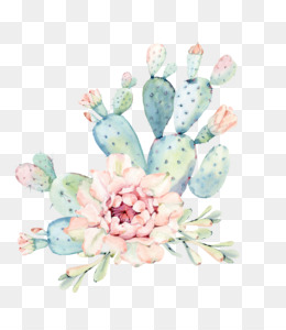260x300 Cactus Png Amp Cactus Transparent Clipart Free Download