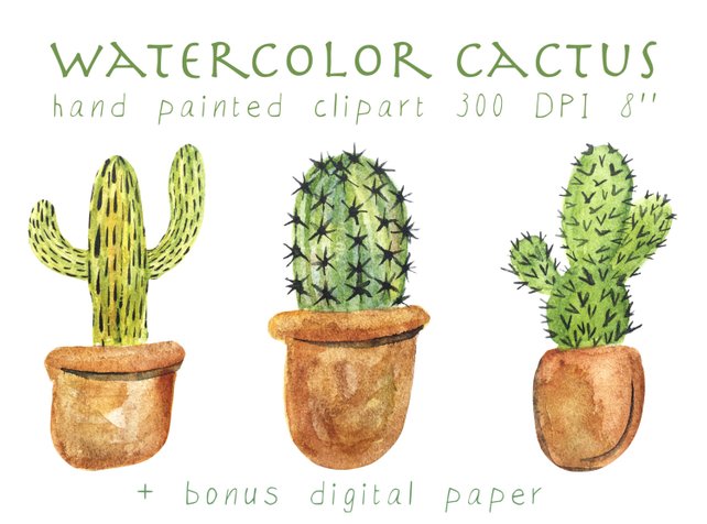 642x476 Cactus Clipart Watercolor Cactus Watercolor Cacti Clipart Etsy