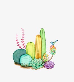 260x287 Download Watercolor Cactus Clipart Cactus Watercolor Painting