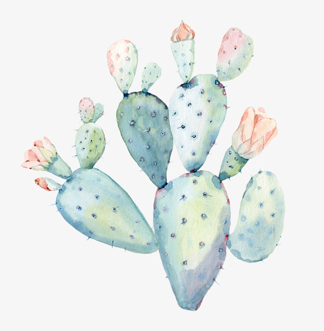 650x663 Hand Painted Watercolor Cactus, Watercolor Clipart, Hand