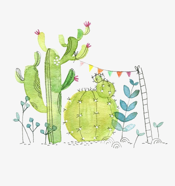 564x601 Watercolor Cactus, Watercolor Clipart, Cactus, Watercolor Png