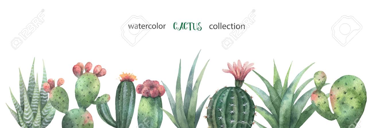 1300x445 Banner Clipart Cactus ~ Frames ~ Illustrations ~ Hd Images ~ Photo
