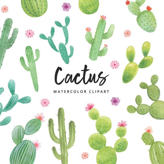 570x570 Watercolor Cactus Clipart Succulents Downloadable Digital Etsy