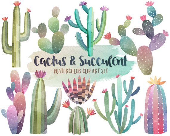 570x456 Watercolor Cactus Clipart Watercolor Clipart Cactus Etsy