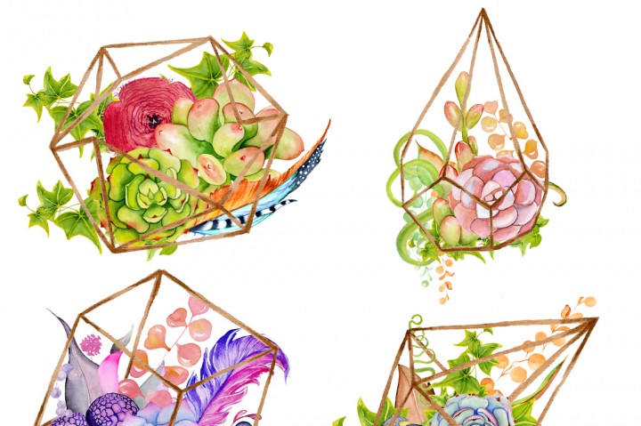 720x479 Watercolor Succulents And Cactus Terrariums. Cactus Clipart. Hand