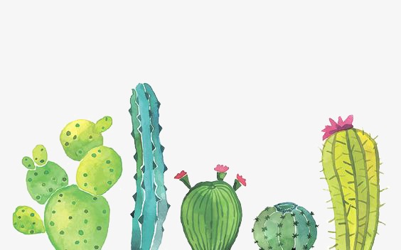 564x352 Cactus, Watercolor, Illustration Png Image And Clipart For Free