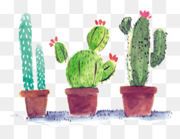 260x200 Cactus Png Amp Cactus Transparent Clipart Free Download