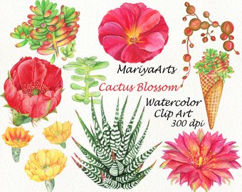 340x270 Cactus Watercolor Etsy