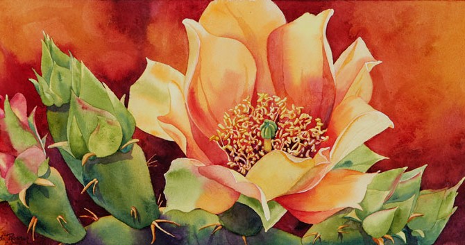 670x353 First Bloom Cactus Flower Watercolor