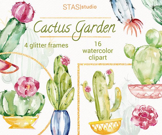 570x475 Watercolor Cactus Clipart Green Pink Cactus Flowers Clip Art Etsy