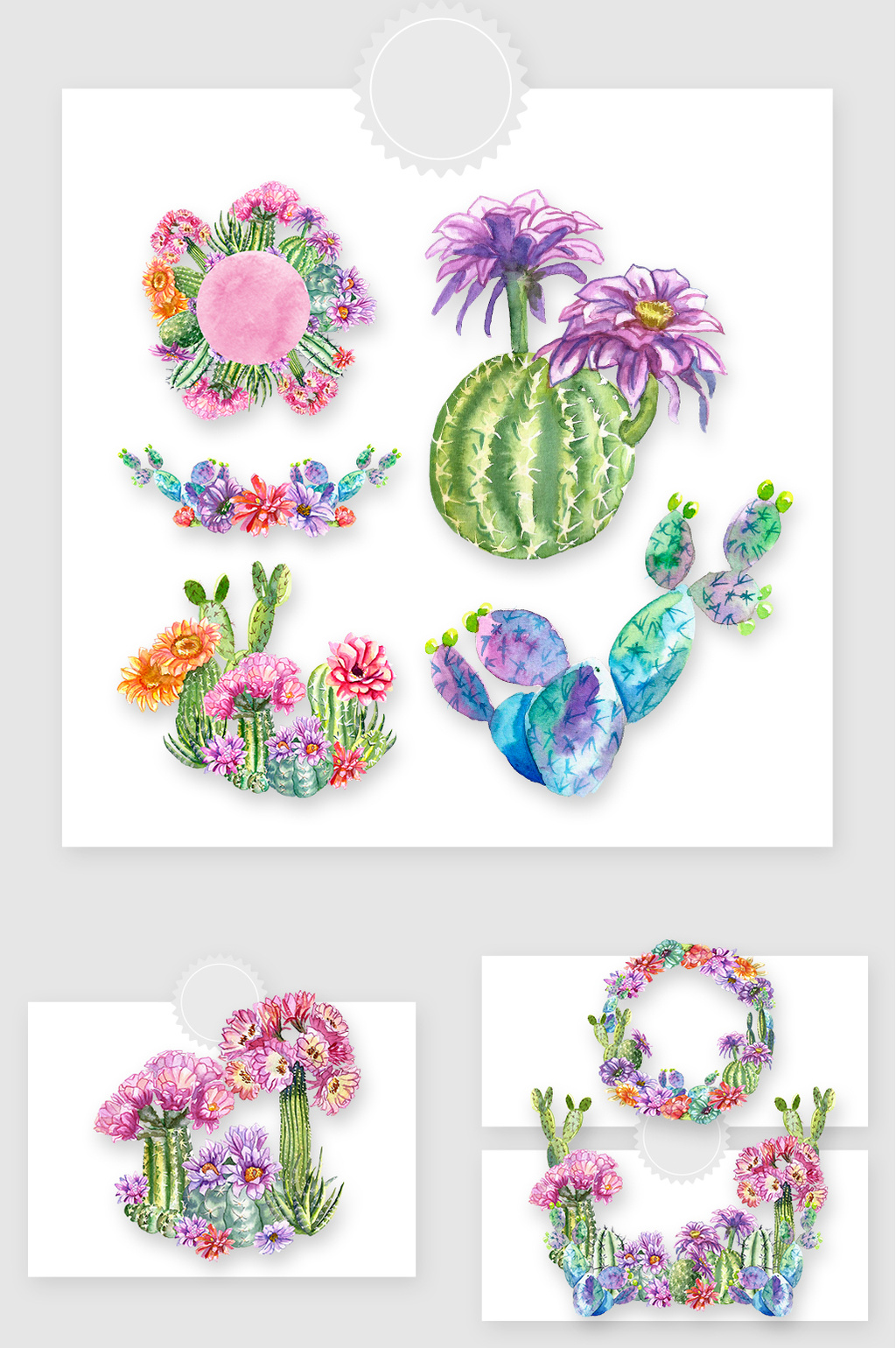 1024x1540 Watercolor Cactus Flower Cactus Png Material Free Download Pikbest