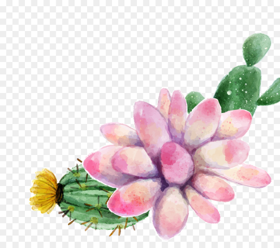 900x800 Watercolor Painting Succulent Plant