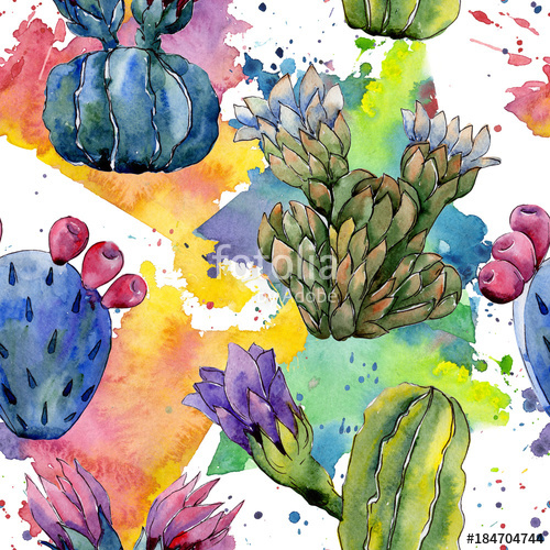 500x500 Wildflower Cactus Flower Pattern In A Watercolor Style. Full Name